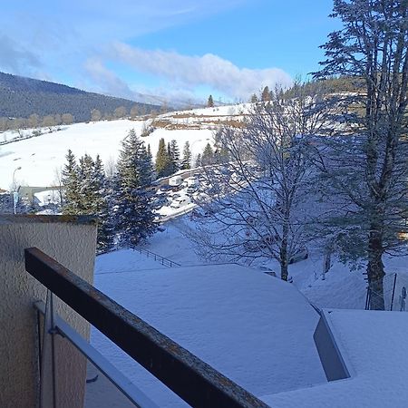 Studio Villard-De-Lans Eksteriør billede